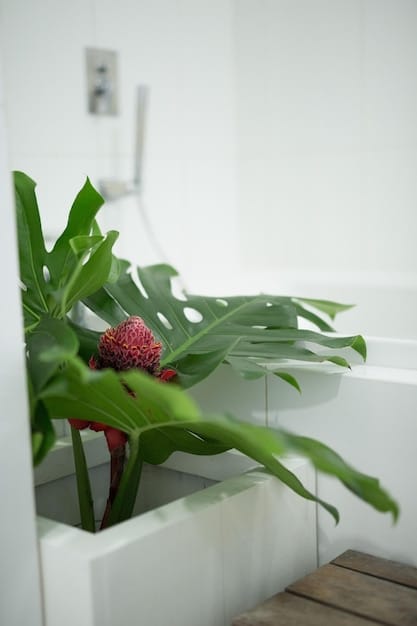 Water Conservation Challenge: Cut Your Bill by 20%