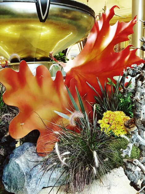 Eco-Friendly Landscaping: Save Water and Thrive in Your Sustainable Garden