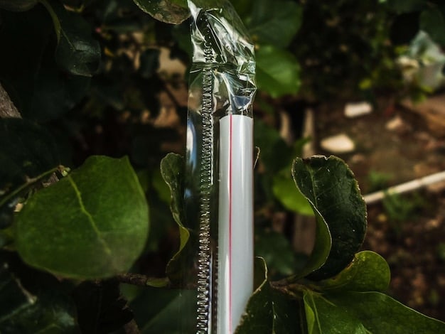 A close-up of a drip irrigation system in a garden, showing water being delivered directly to the roots of plants.