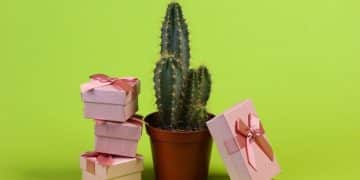 Sustainable Gift Giving: Top 10 Eco-Friendly Gift Ideas for 2025 - Cover Image