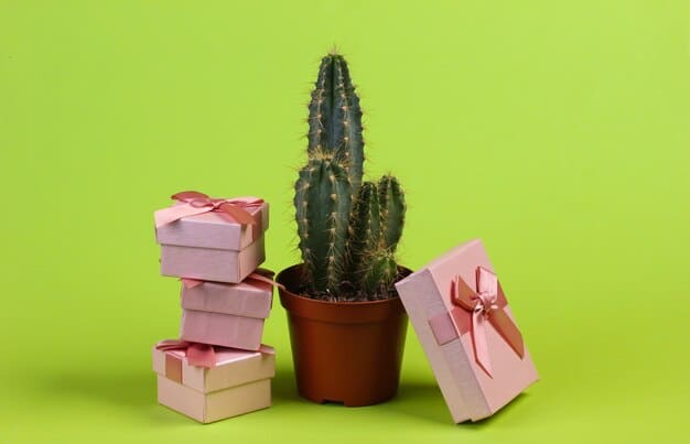 Sustainable Gift Giving: Top 10 Eco-Friendly Gift Ideas for 2025