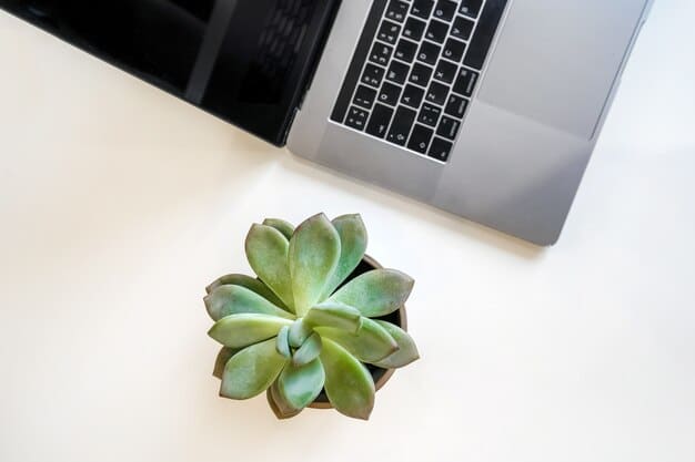 A minimalistic desk setup featuring a laptop, a digital notepad with a stylus, and a small succulent. The background is clean and uncluttered, emphasizing the paperless theme.