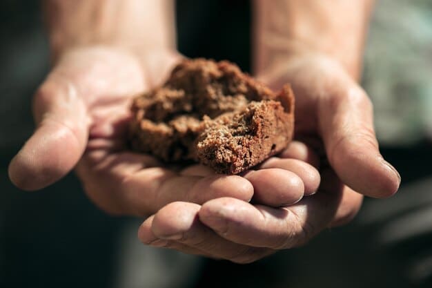 A close-up shot of dark, crumbly compost in someone's hands, showing its rich texture and organic composition, ready to be used in a garden bed.