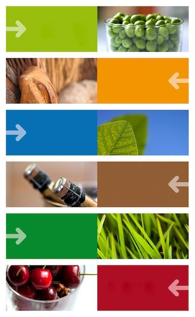A visual guide showing a list of items that can be composted (vegetable scraps, coffee grounds, leaves) on one side and a list of items to avoid (meat, dairy, oily foods) on the other side.