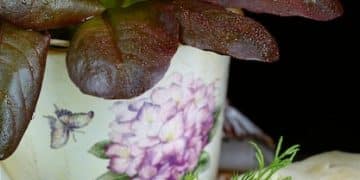 Sustainable Gardening: A Beginner's Guide to Growing Your Own Food - Cover Image