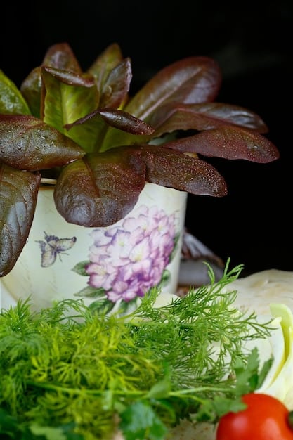 Sustainable Gardening: A Beginner’s Guide to Growing Your Own Food