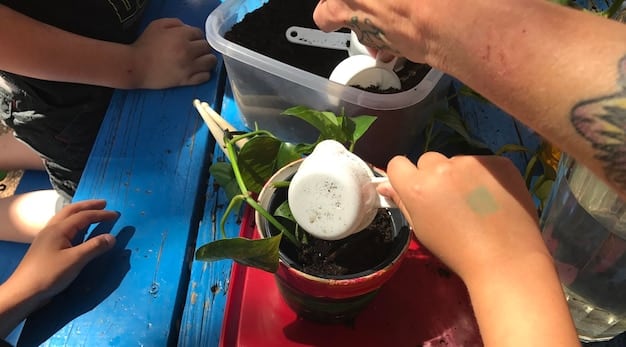 A person testing soil pH with a simple testing kit in their garden, alongside a watering can and gardening gloves. The scene conveys a sense of hands-on involvement and care.
