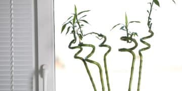 Eco-Friendly Home Decor: Sustainable Materials for a Greener Home - Cover Image