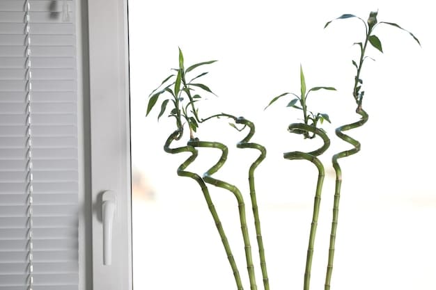 Eco-Friendly Home Decor: Sustainable Materials for a Greener Home