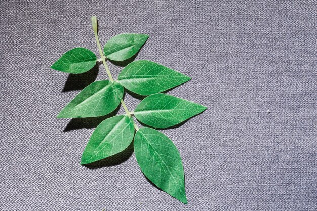 Close-up of organic cotton fabric with visible texture and a small leaf embellishment. The fabric is off-white, and the leaf is light green.