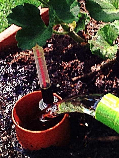 A close-up of a drip irrigation system watering a row of drought-tolerant plants in an eco-friendly garden, highlighting efficient water usage.