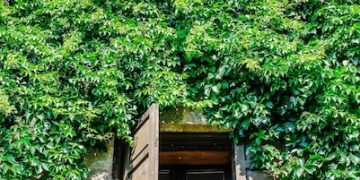 Energy-Efficient Landscaping: Cool Your Home Naturally - Cover Image