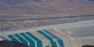 US Election 2024: Potential Impacts on Clean Energy Policy - Cover Image