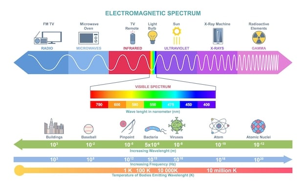 A detailed energy consumption chart, showcasing the energy usage of different household appliances, with emphasis on essential devices for backup power.