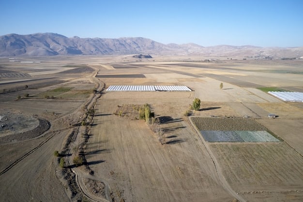 US Renewable Energy Growth: Projecting the Next 5 Years